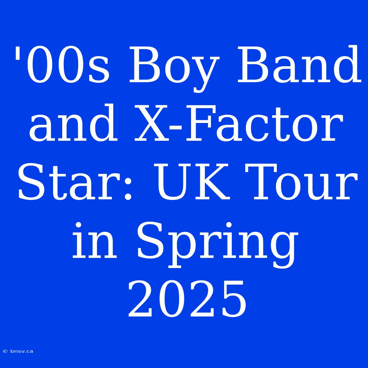 '00s Boy Band And X-Factor Star: UK Tour In Spring 2025