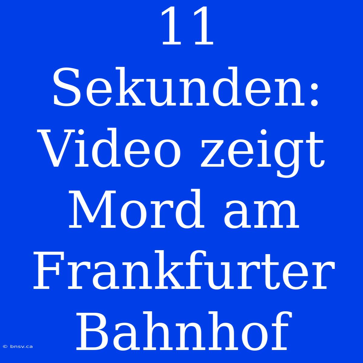 11 Sekunden: Video Zeigt Mord Am Frankfurter Bahnhof