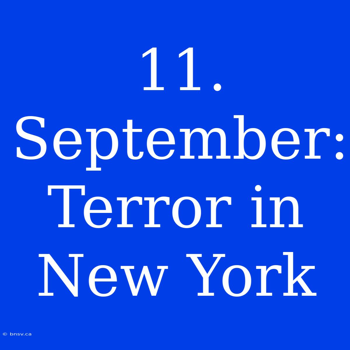 11. September: Terror In New York