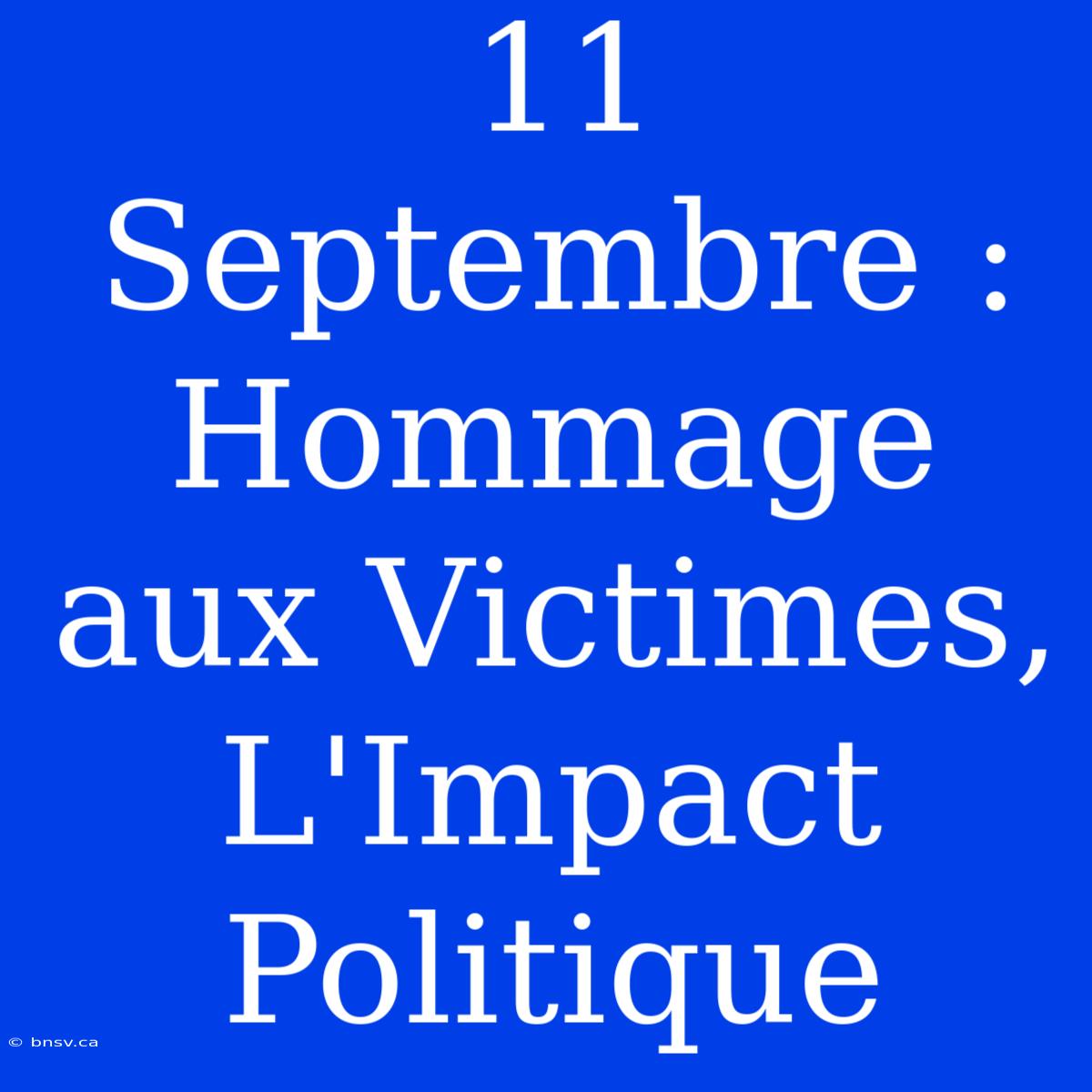 11 Septembre : Hommage Aux Victimes, L'Impact Politique