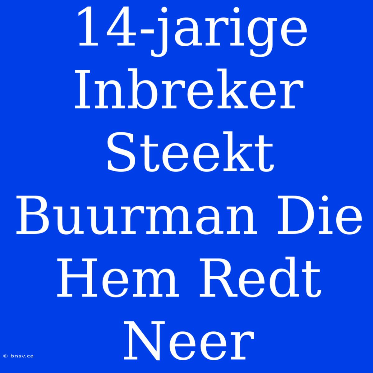 14-jarige Inbreker Steekt Buurman Die Hem Redt Neer