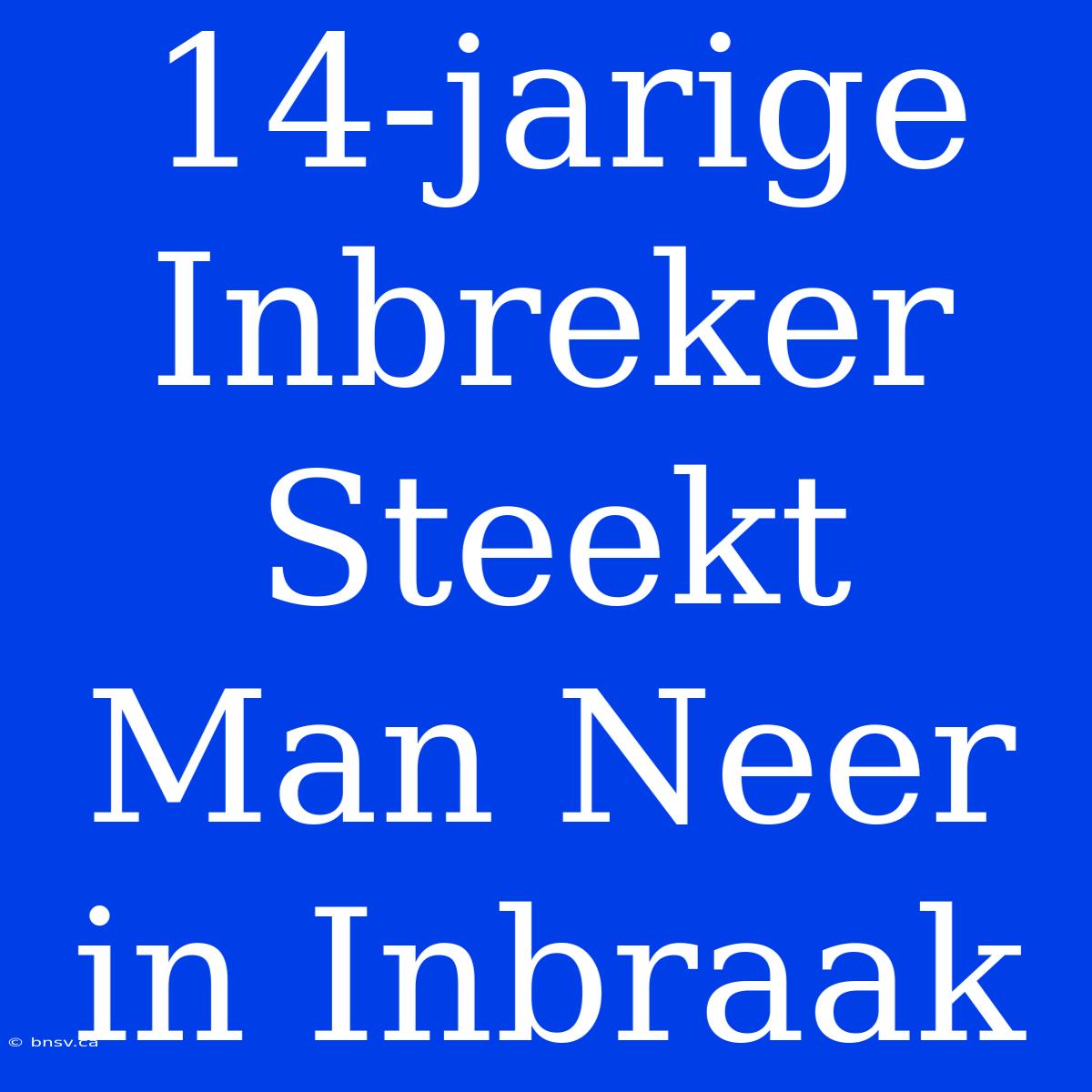 14-jarige Inbreker Steekt Man Neer In Inbraak