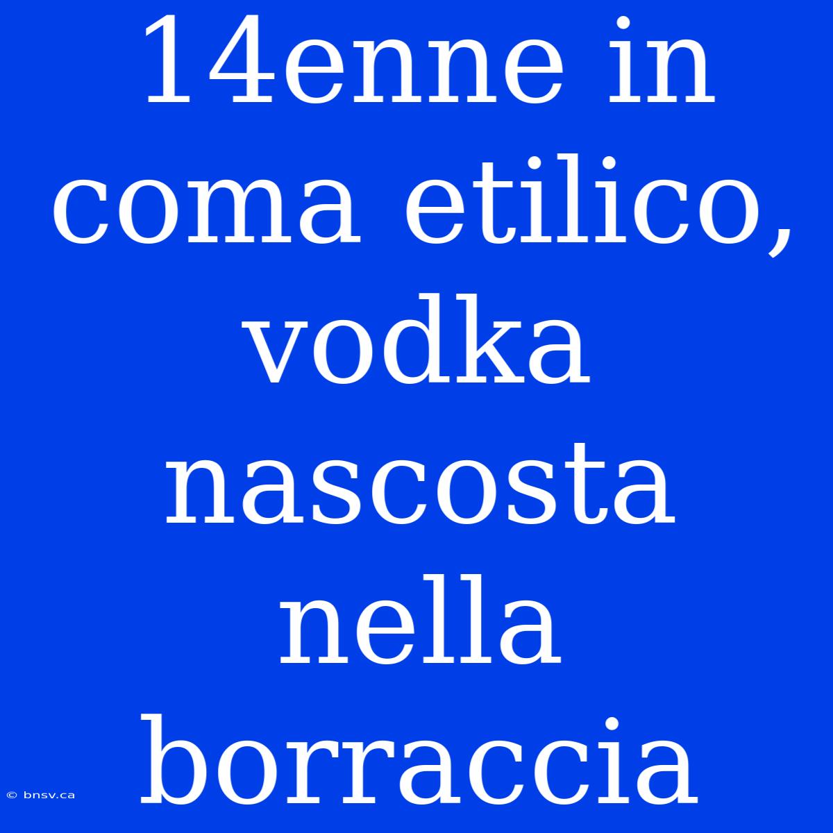 14enne In Coma Etilico, Vodka Nascosta Nella Borraccia