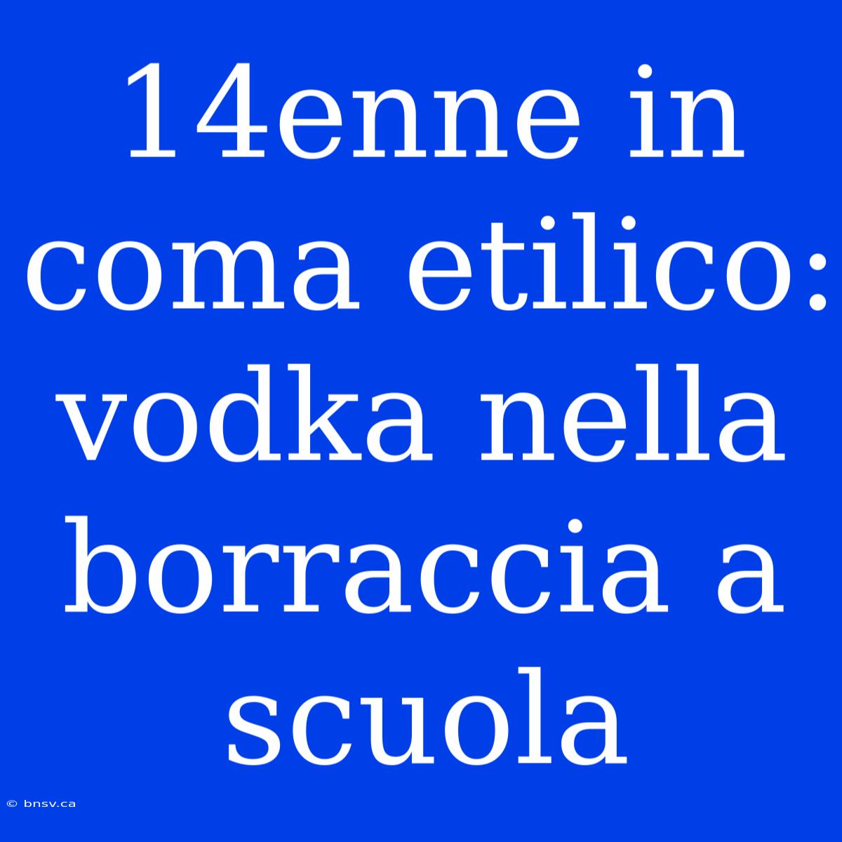 14enne In Coma Etilico: Vodka Nella Borraccia A Scuola