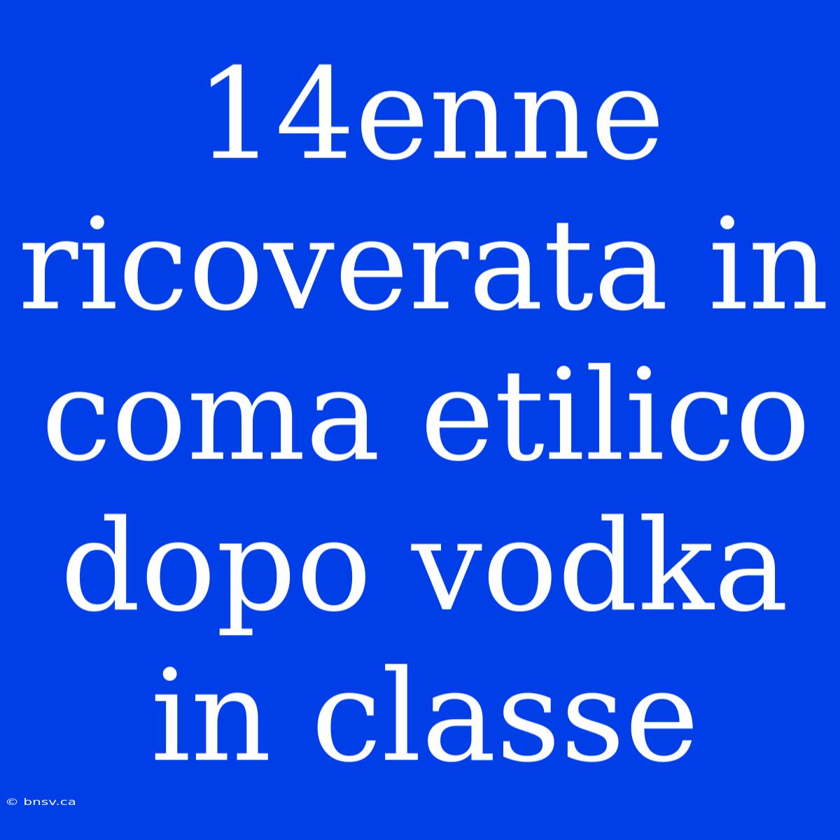 14enne Ricoverata In Coma Etilico Dopo Vodka In Classe