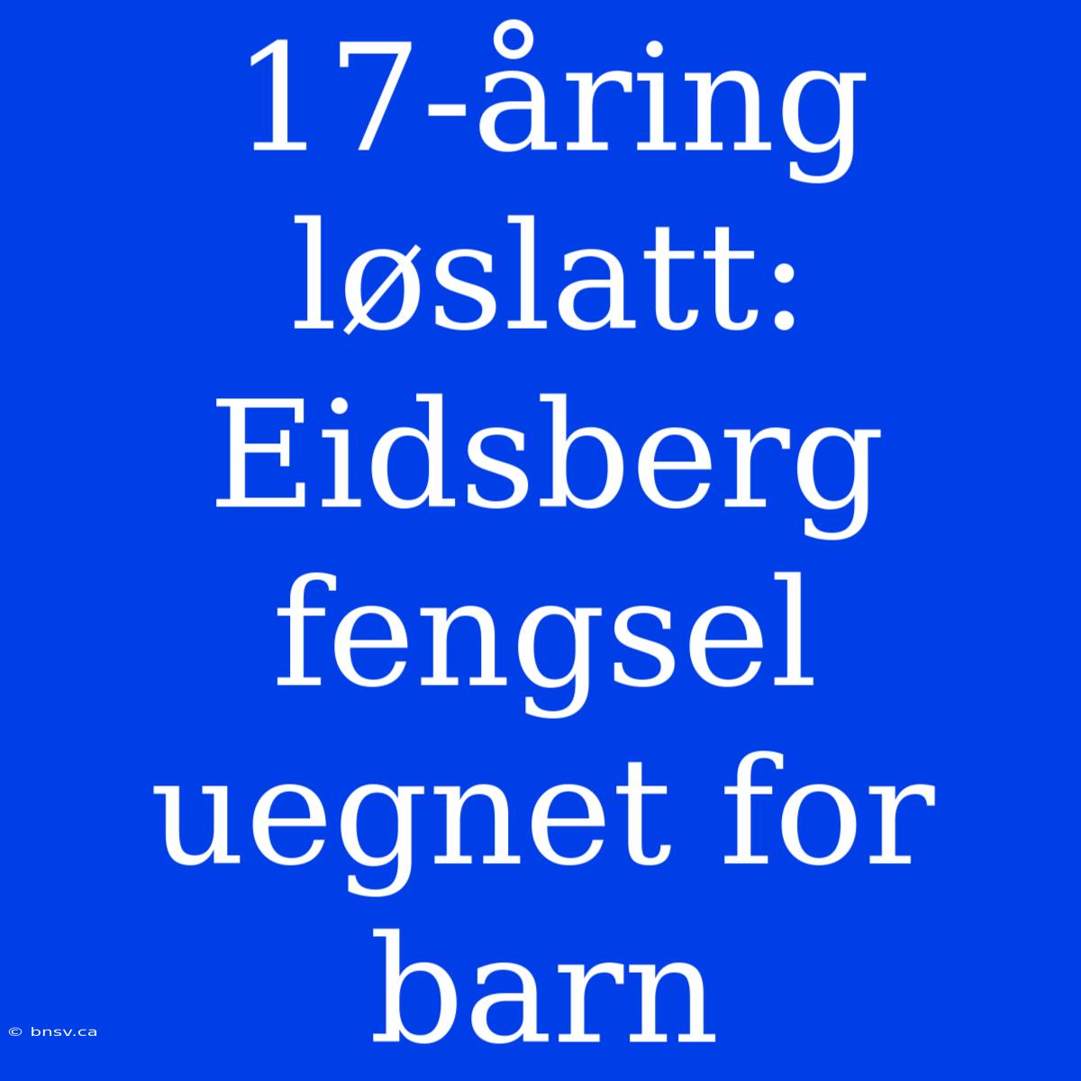 17-åring Løslatt: Eidsberg Fengsel Uegnet For Barn