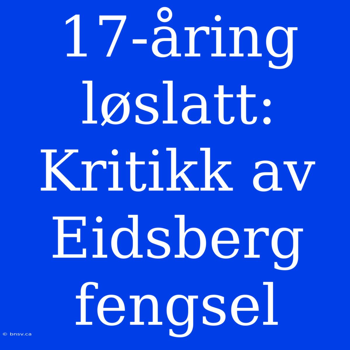 17-åring Løslatt: Kritikk Av Eidsberg Fengsel