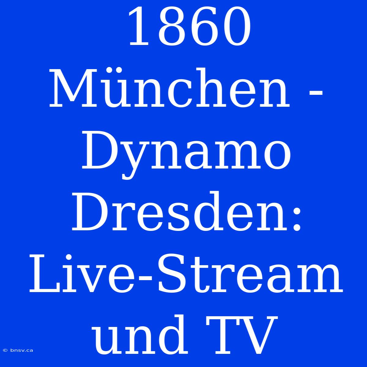 1860 München - Dynamo Dresden: Live-Stream Und TV