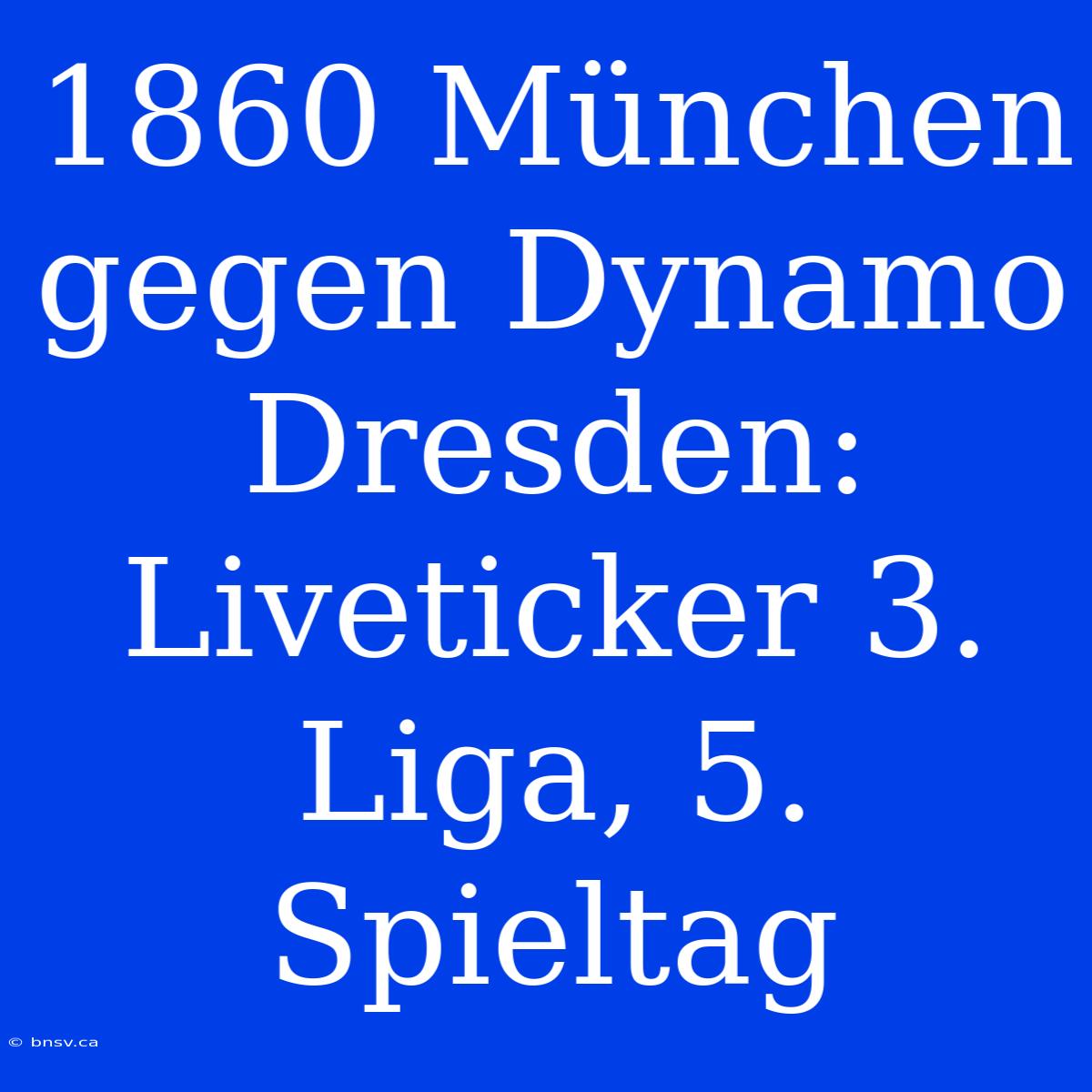 1860 München Gegen Dynamo Dresden: Liveticker 3. Liga, 5. Spieltag