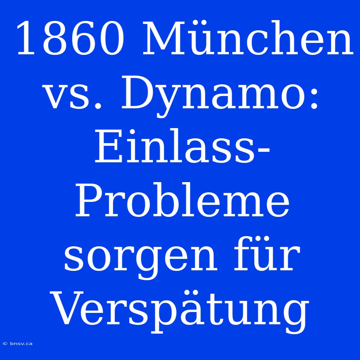 1860 München Vs. Dynamo: Einlass-Probleme Sorgen Für Verspätung