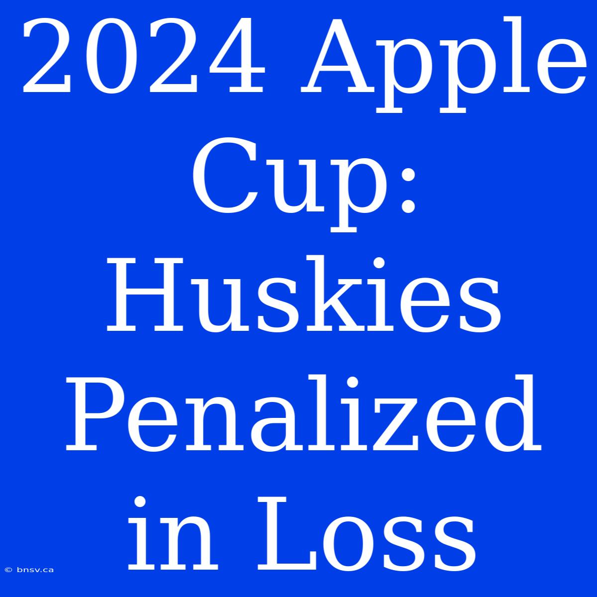 2024 Apple Cup: Huskies Penalized In Loss