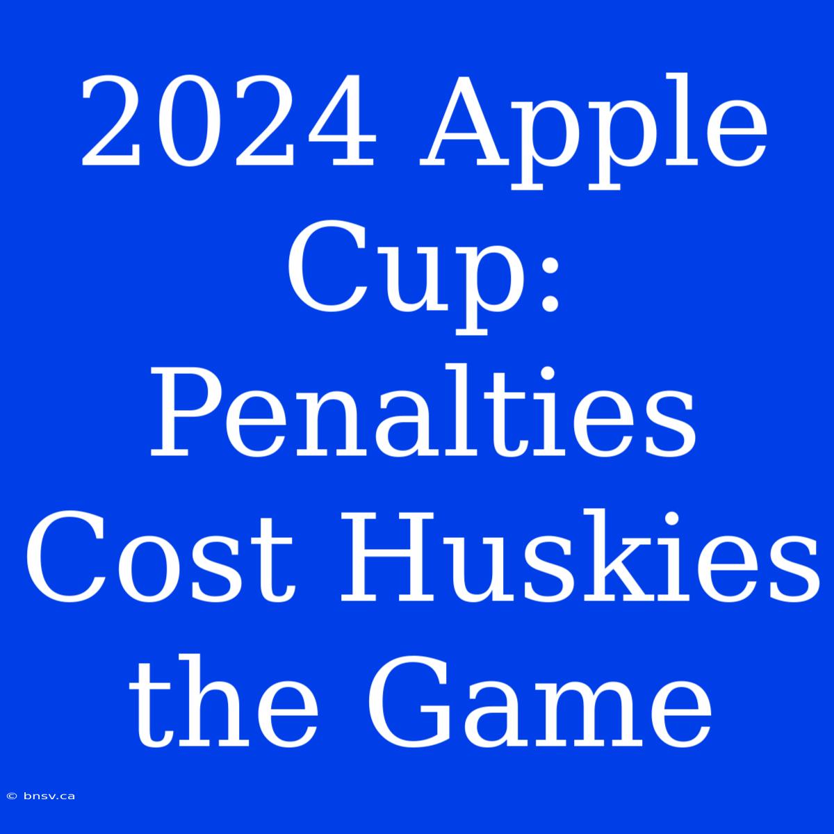 2024 Apple Cup: Penalties Cost Huskies The Game