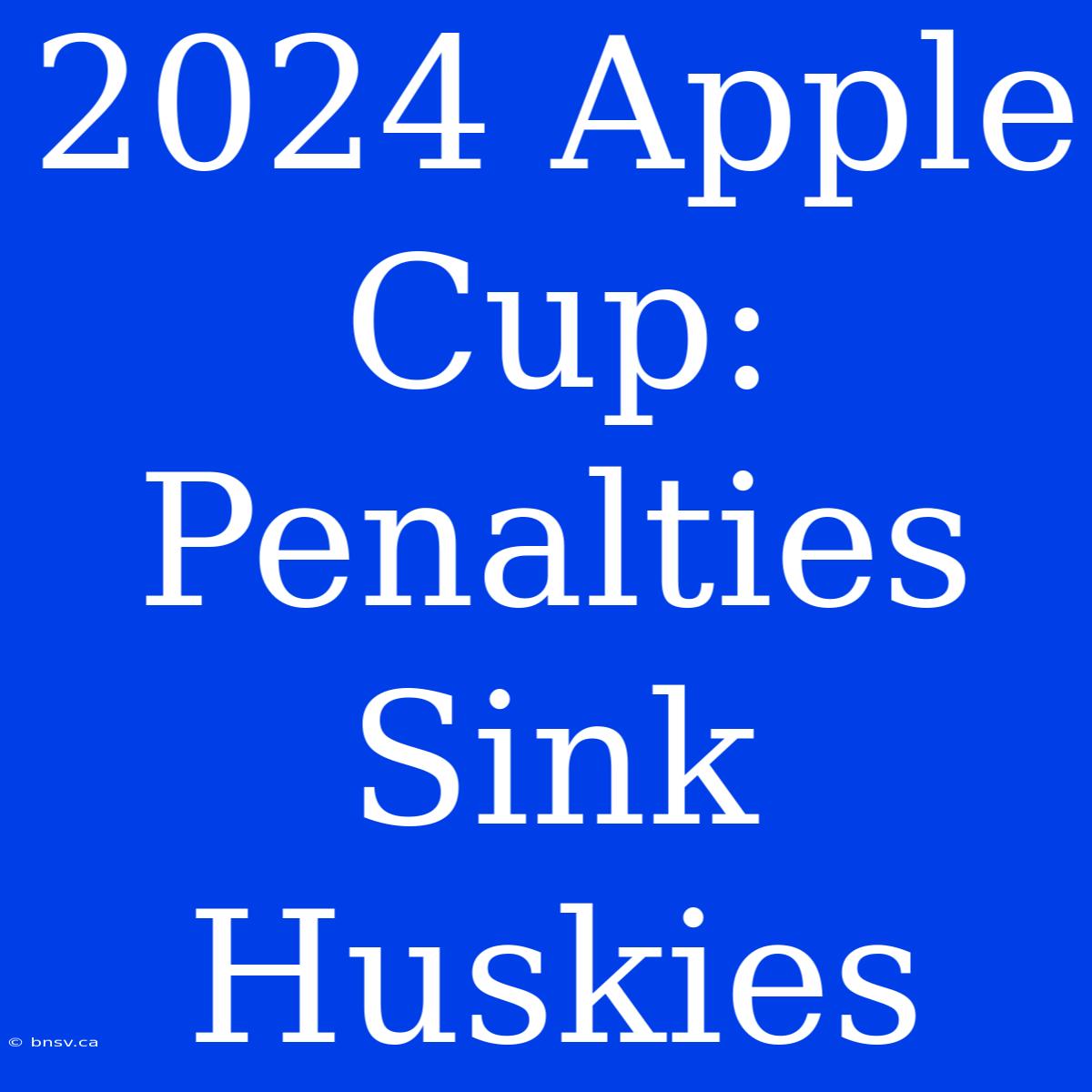 2024 Apple Cup: Penalties Sink Huskies