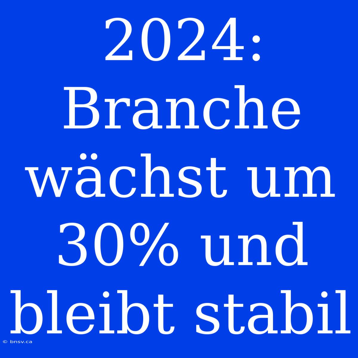 2024: Branche Wächst Um 30% Und Bleibt Stabil