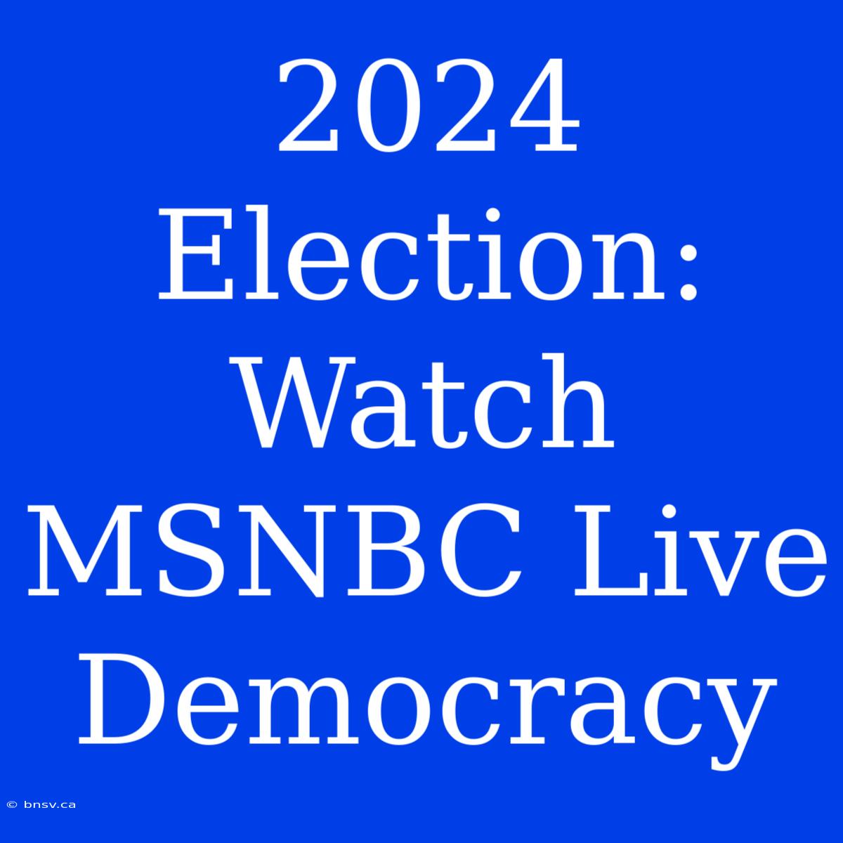 2024 Election: Watch MSNBC Live Democracy