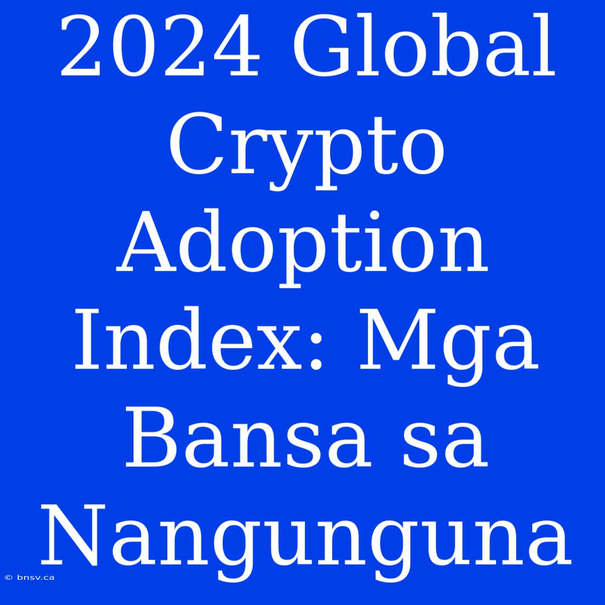 2024 Global Crypto Adoption Index: Mga Bansa Sa Nangunguna