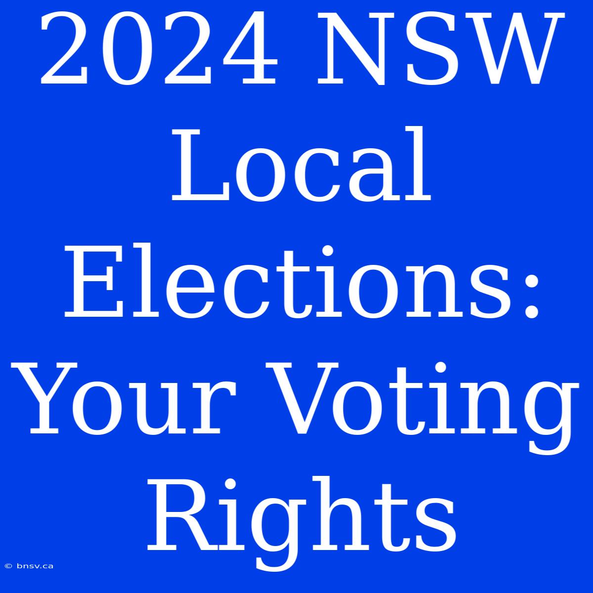 2024 NSW Local Elections: Your Voting Rights