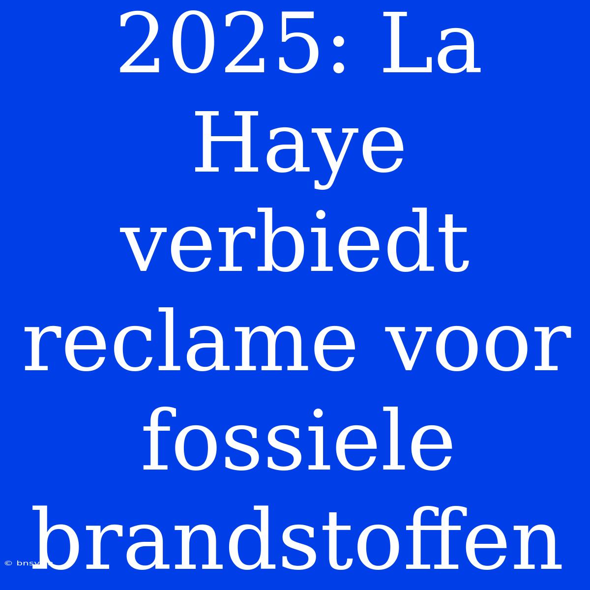 2025: La Haye Verbiedt Reclame Voor Fossiele Brandstoffen