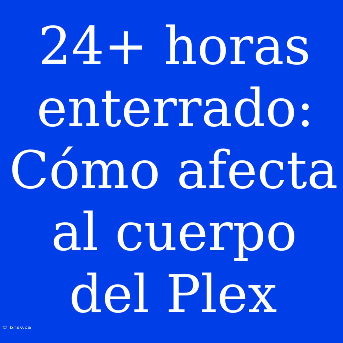 24+ Horas Enterrado: Cómo Afecta Al Cuerpo Del Plex