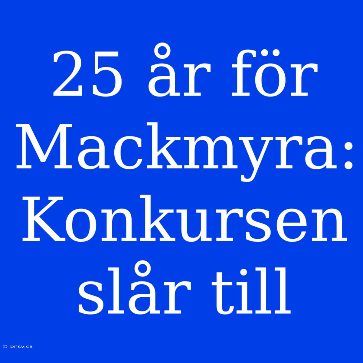 25 År För Mackmyra: Konkursen Slår Till