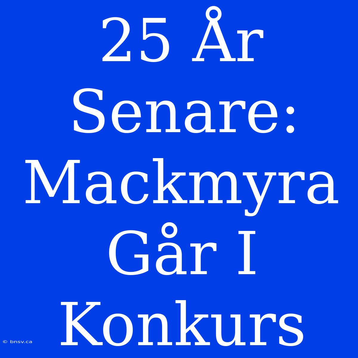 25 År Senare: Mackmyra Går I Konkurs