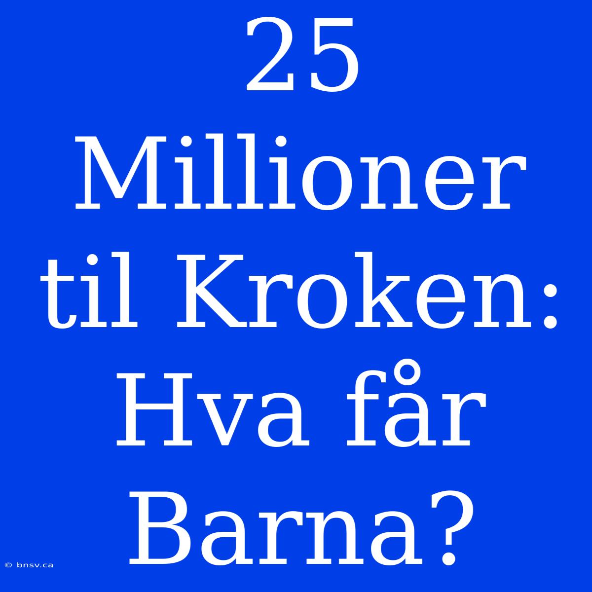 25 Millioner Til Kroken: Hva Får Barna?