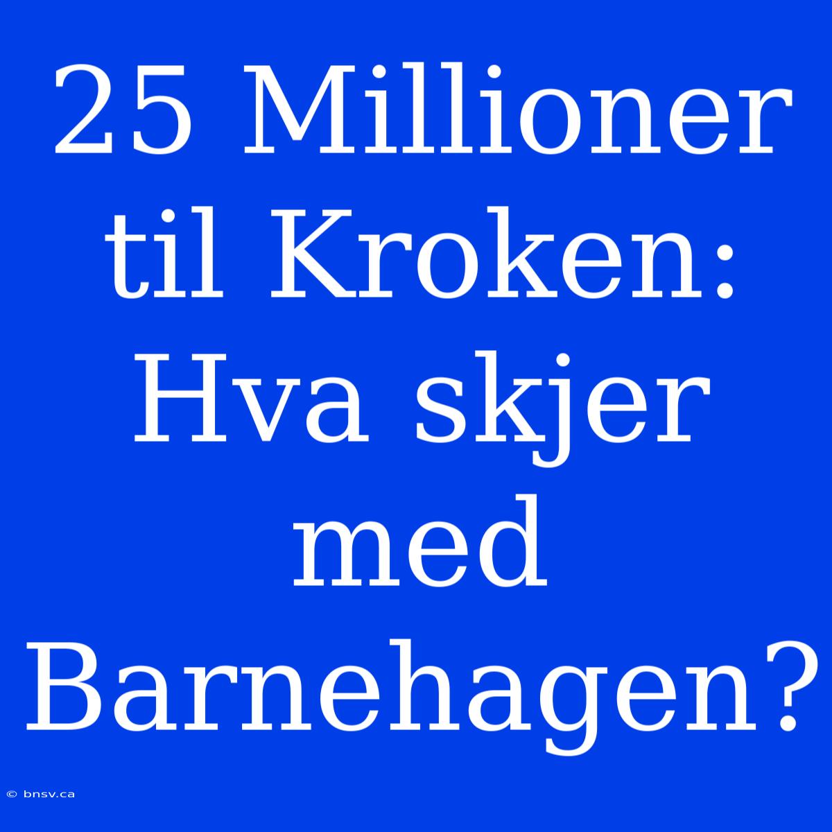 25 Millioner Til Kroken: Hva Skjer Med Barnehagen?