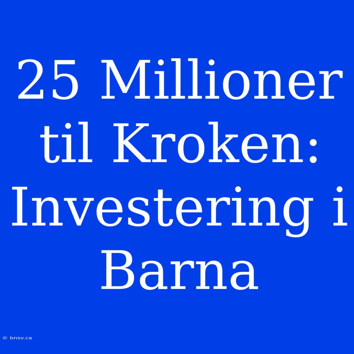 25 Millioner Til Kroken: Investering I Barna