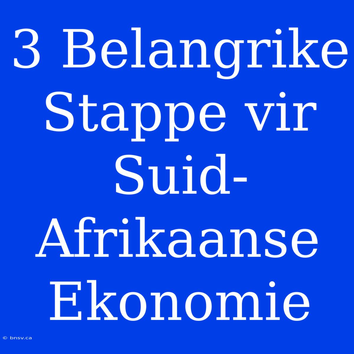 3 Belangrike Stappe Vir Suid-Afrikaanse Ekonomie