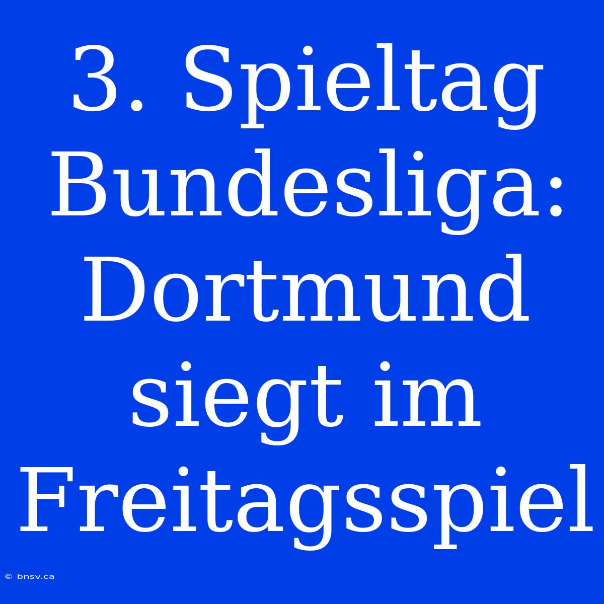 3. Spieltag Bundesliga: Dortmund Siegt Im Freitagsspiel