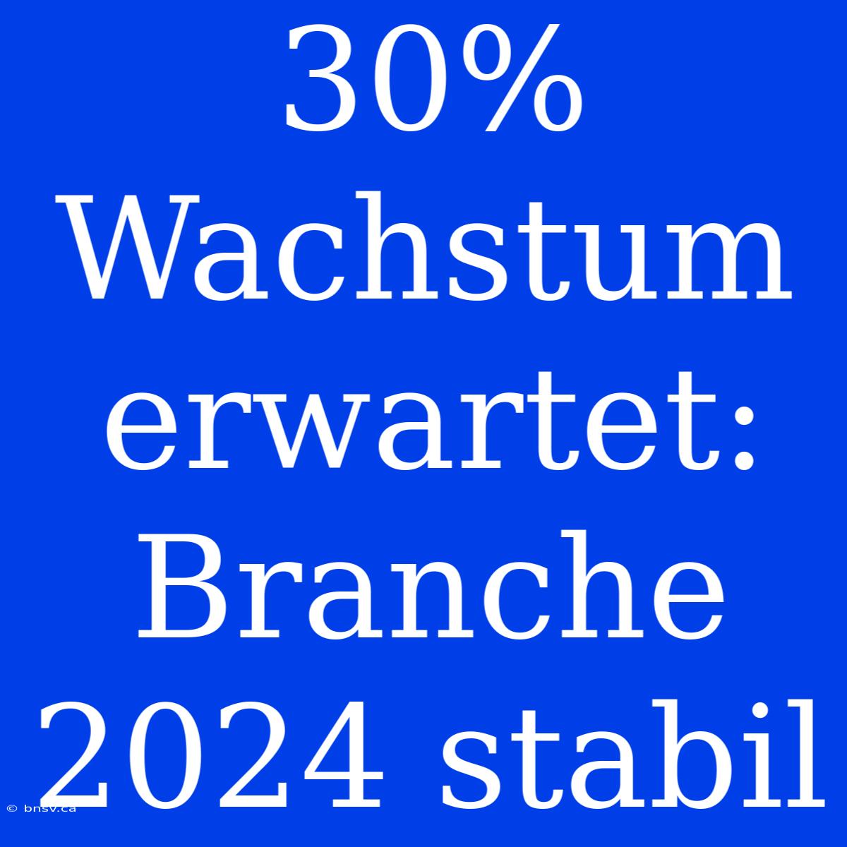 30% Wachstum Erwartet: Branche 2024 Stabil