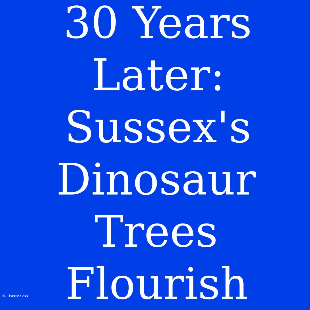 30 Years Later: Sussex's Dinosaur Trees Flourish