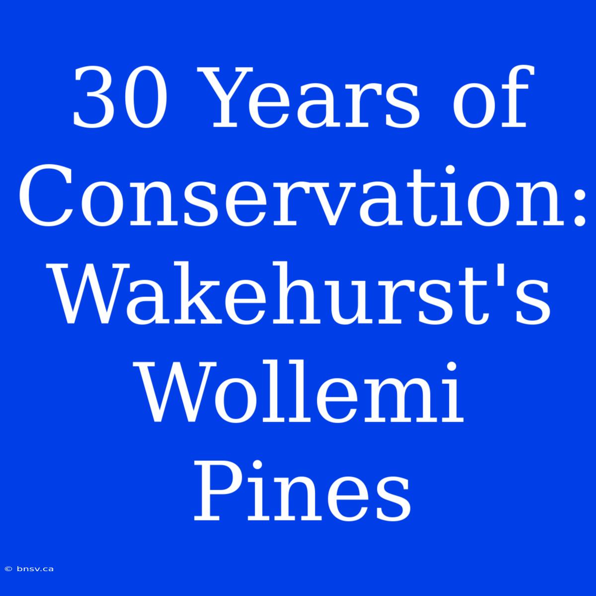 30 Years Of Conservation: Wakehurst's Wollemi Pines