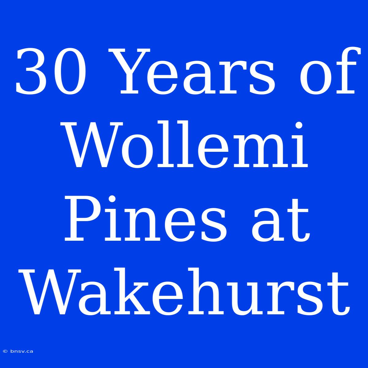 30 Years Of Wollemi Pines At Wakehurst