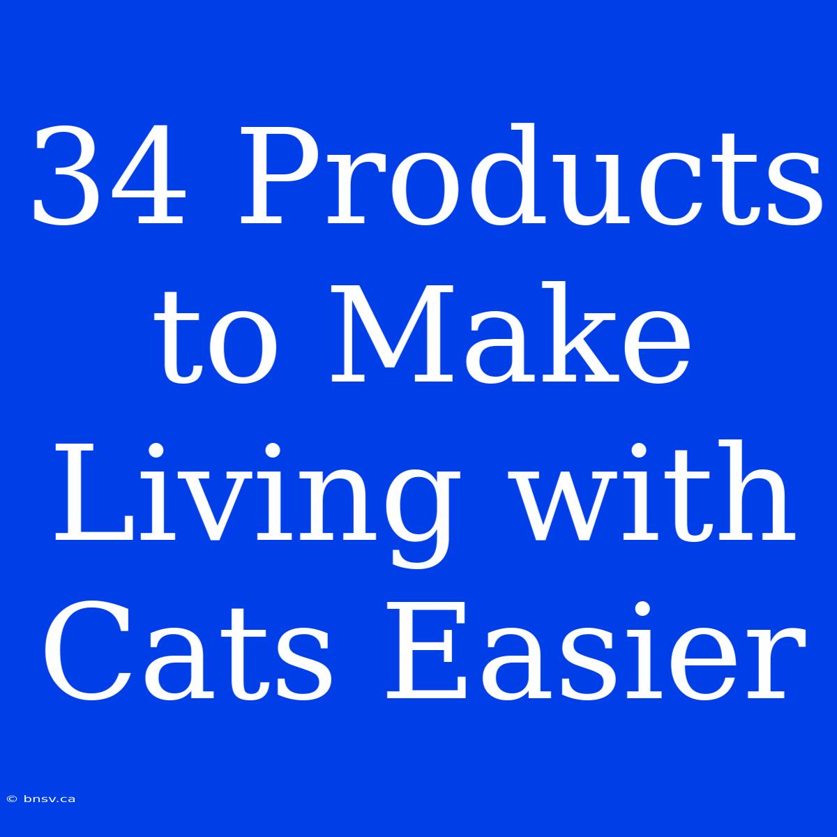 34 Products To Make Living With Cats Easier