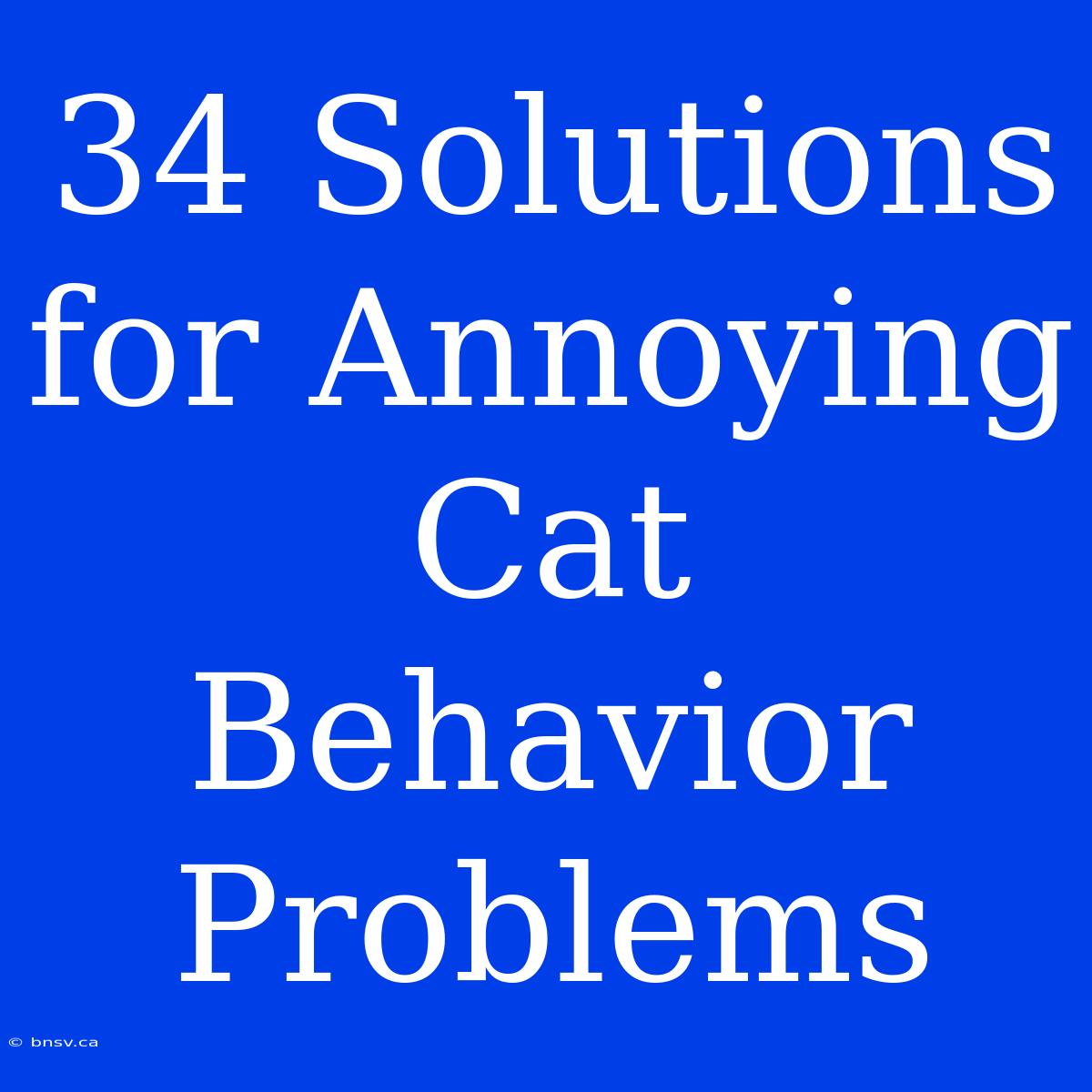 34 Solutions For Annoying Cat Behavior Problems