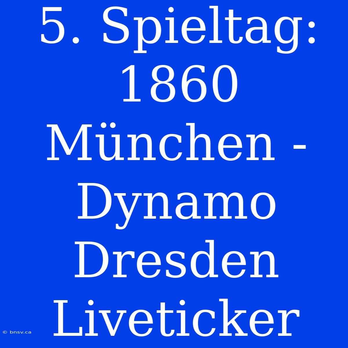 5. Spieltag: 1860 München - Dynamo Dresden Liveticker