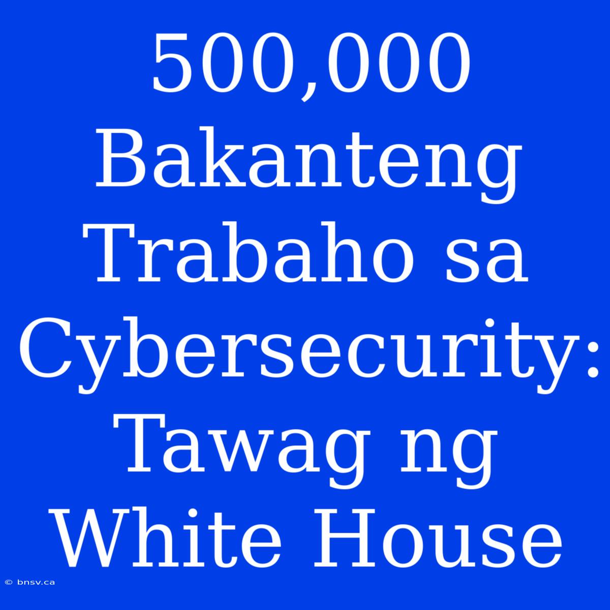 500,000 Bakanteng Trabaho Sa Cybersecurity: Tawag Ng White House