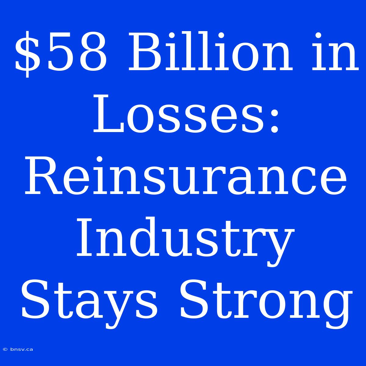 $58 Billion In Losses: Reinsurance Industry Stays Strong