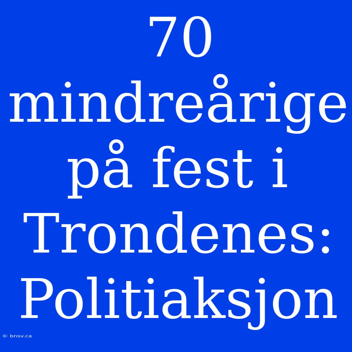 70 Mindreårige På Fest I Trondenes: Politiaksjon