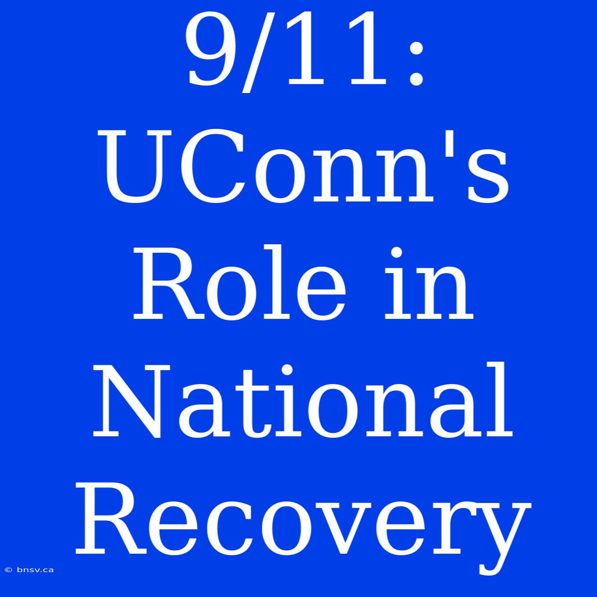 9/11: UConn's Role In National Recovery