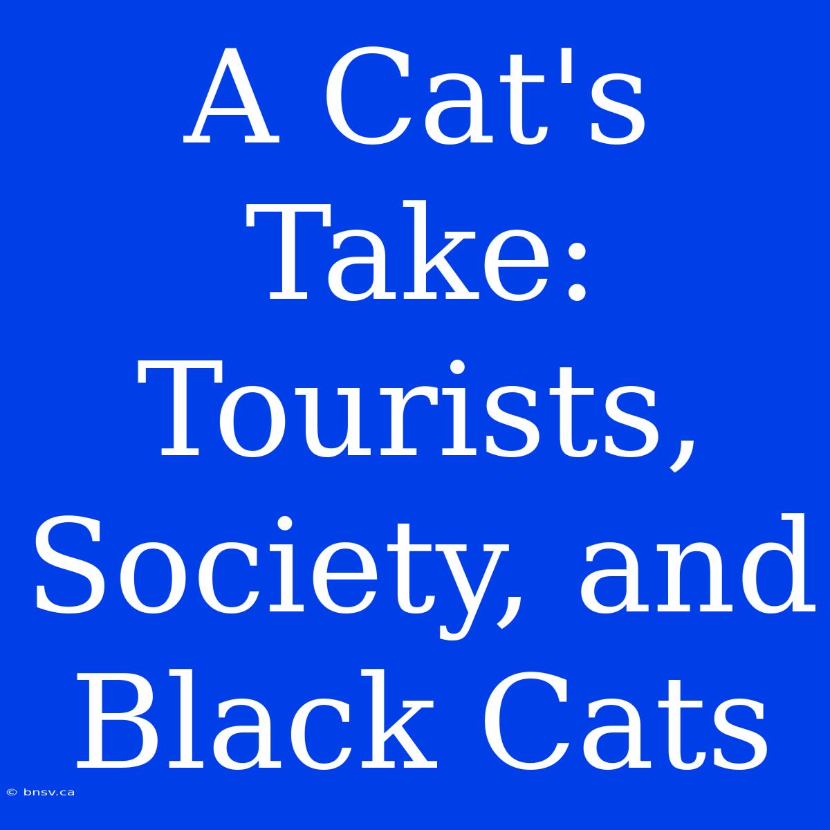 A Cat's Take: Tourists, Society, And Black Cats