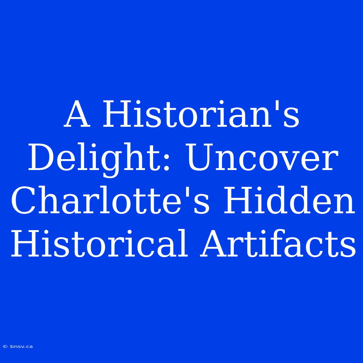 A Historian's Delight: Uncover Charlotte's Hidden Historical Artifacts