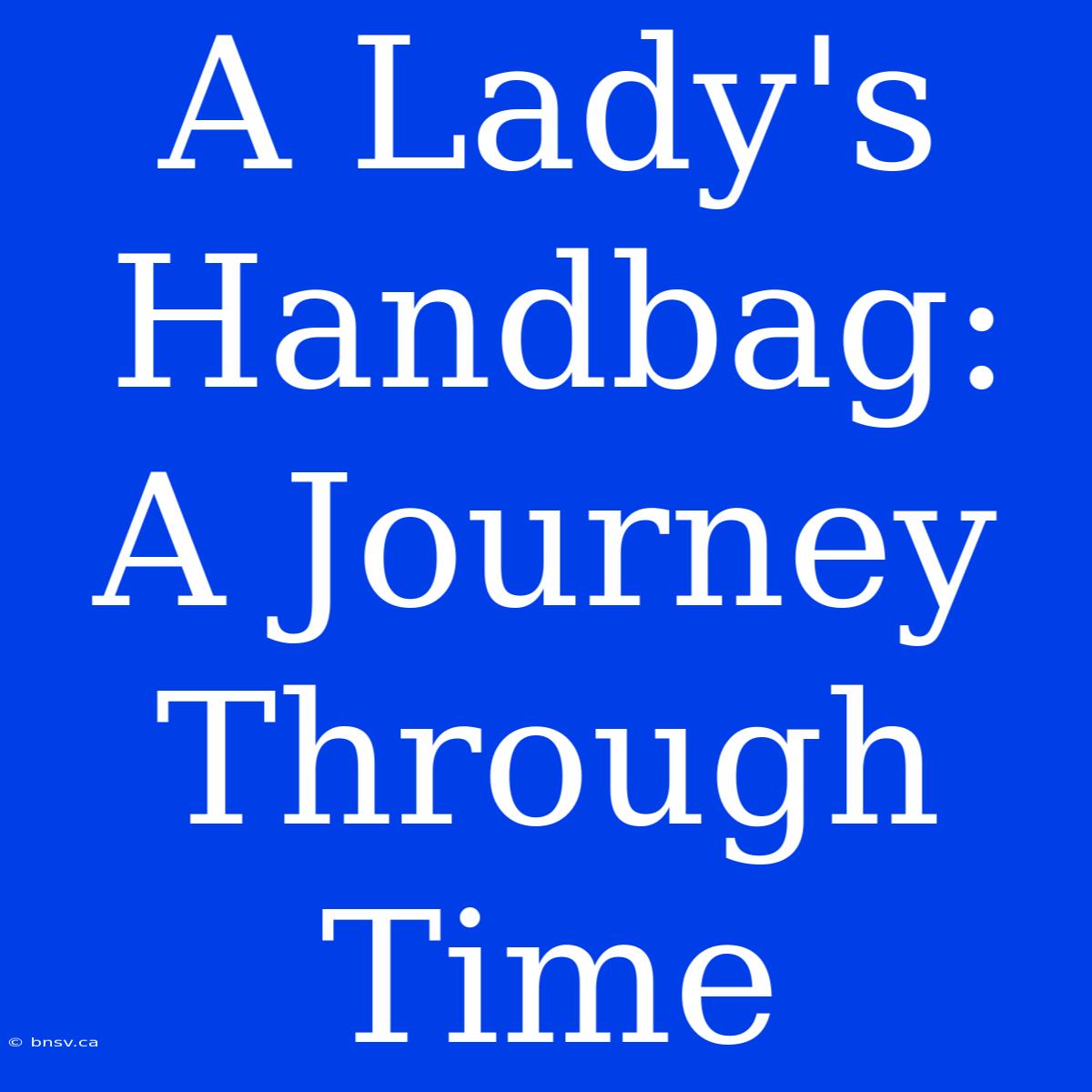 A Lady's Handbag: A Journey Through Time