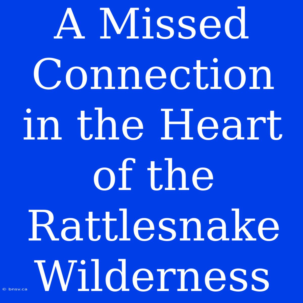 A Missed Connection In The Heart Of The Rattlesnake Wilderness