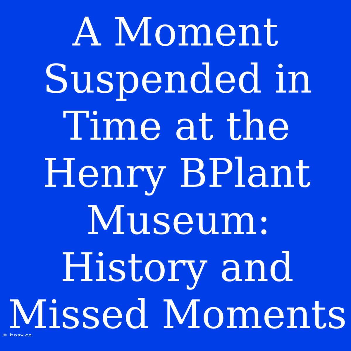 A Moment Suspended In Time At The Henry BPlant Museum: History And Missed Moments