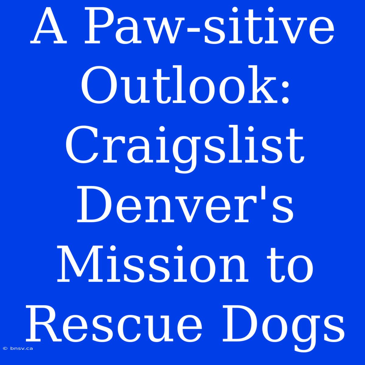 A Paw-sitive Outlook: Craigslist Denver's Mission To Rescue Dogs