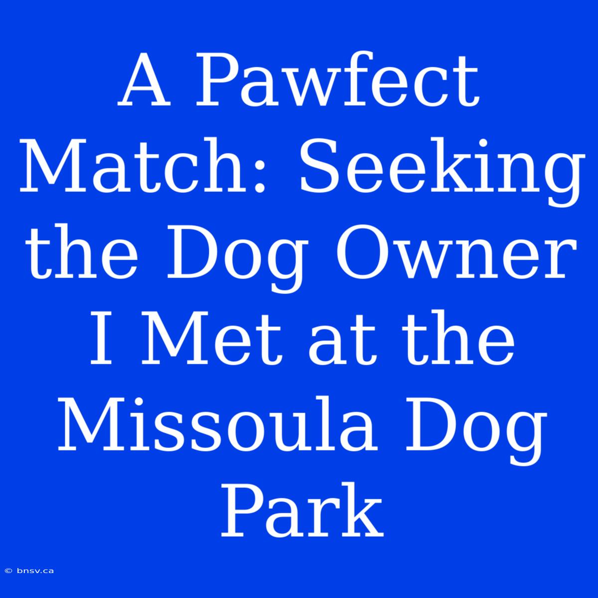 A Pawfect Match: Seeking The Dog Owner I Met At The Missoula Dog Park