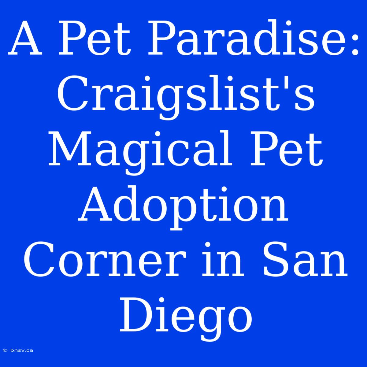 A Pet Paradise: Craigslist's Magical Pet Adoption Corner In San Diego