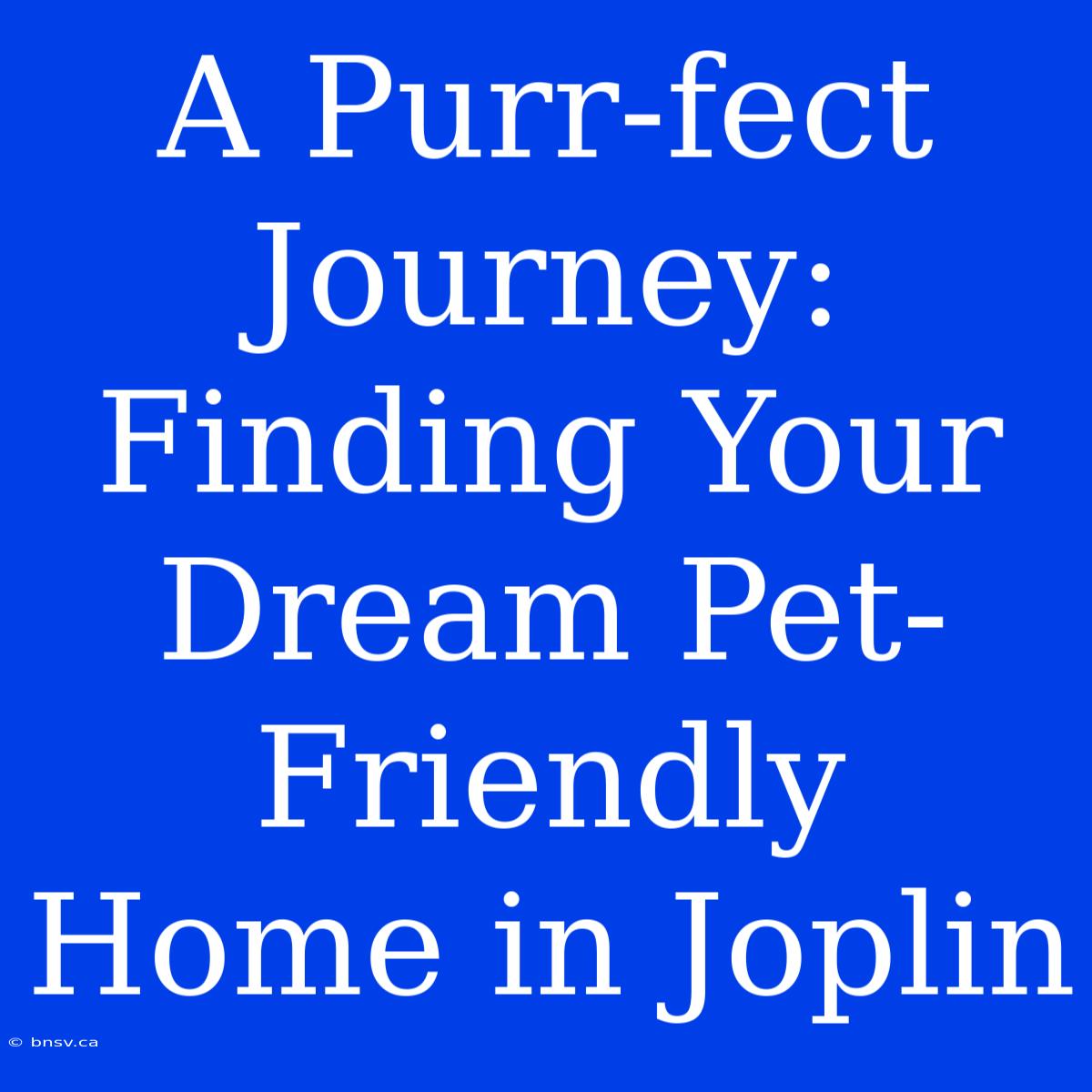 A Purr-fect Journey: Finding Your Dream Pet-Friendly Home In Joplin